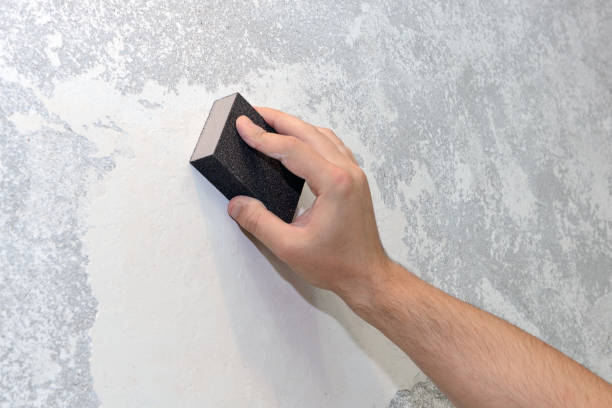 Mold Removal for HVAC Installations in Daytona Beach Shores, FL