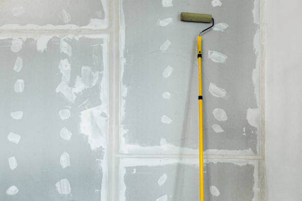 Best Mold Damage Restoration  in Daytona Beach Shores, FL