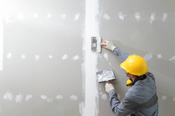 Best Mold-Related Health Consultation  in Daytona Beach Shores, FL