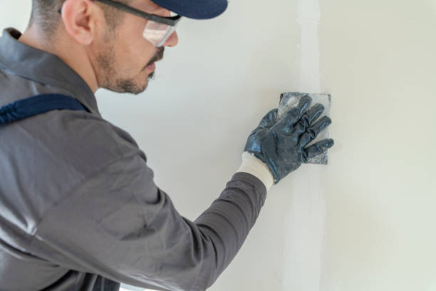 Best Basement Mold Removal  in Daytona Beach Shores, FL