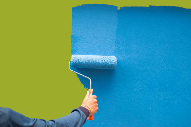 Best Mold Odor Removal Services  in Daytona Beach Shores, FL